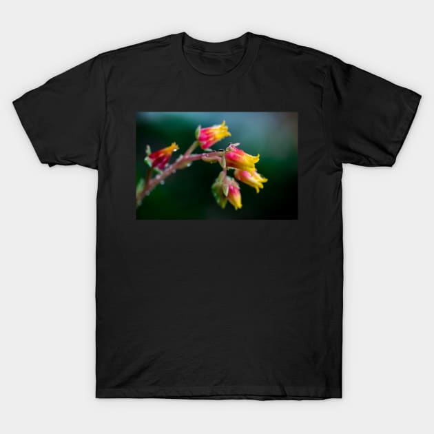 FLOWERS, NATURE’S Fashion Models T-Shirt by anothercoffee